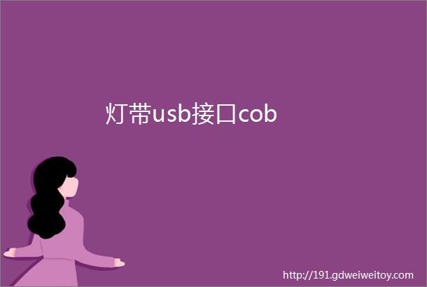 灯带usb接口cob